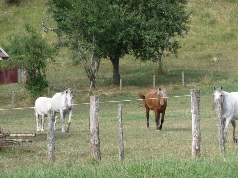 2 chambres d'hôtes privées louées séparément avec communs à partager Beaufort  Exterior foto